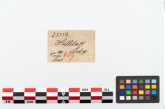 Etikett zu Bronzeschlangenfibel (NHMW-PRAE-025156)